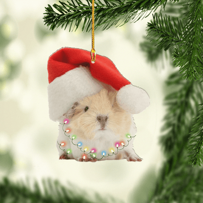 Guinea Pig Christmas Ornament, Custom Name Ornament, Christmas Ornament Gift For Guinea Pig Lovers, Christmas Dog Friends Hanging Ornament OO1697