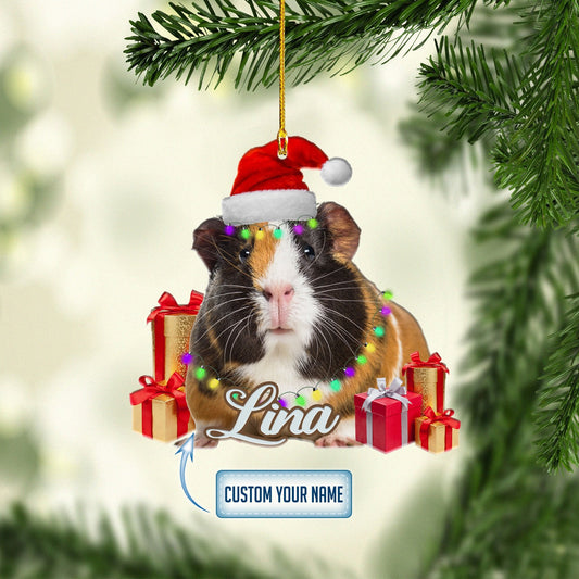 Personalized Guinea Pig Gift Christmas Ornaments, Gift for Guinea Pig Lover OO1698