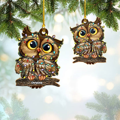 Personalized Christmas Owl Ornament Custom Shaped Acrylic Owl Ornament OO3574