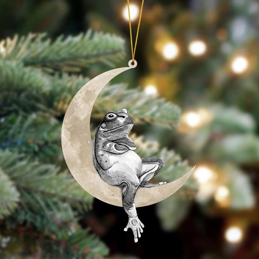 Frog Sits On The Moon Hanging Flat Acrylic Ornament OO3511