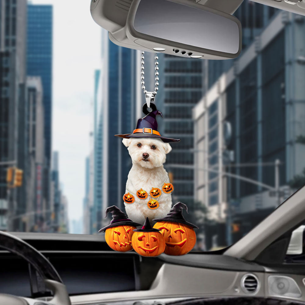 Maltipoo Halloween Pumpkin Scary Car Ornament OO1313