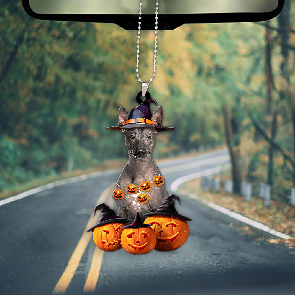 Peruvian Inca Orchid Halloween Pumpkin Scary Car Ornament OO1320