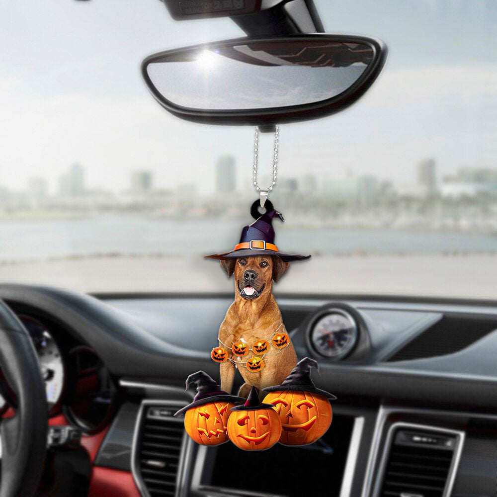 Rhodesian Ridgeback Halloween Pumpkin Scary Car Ornament OO1323