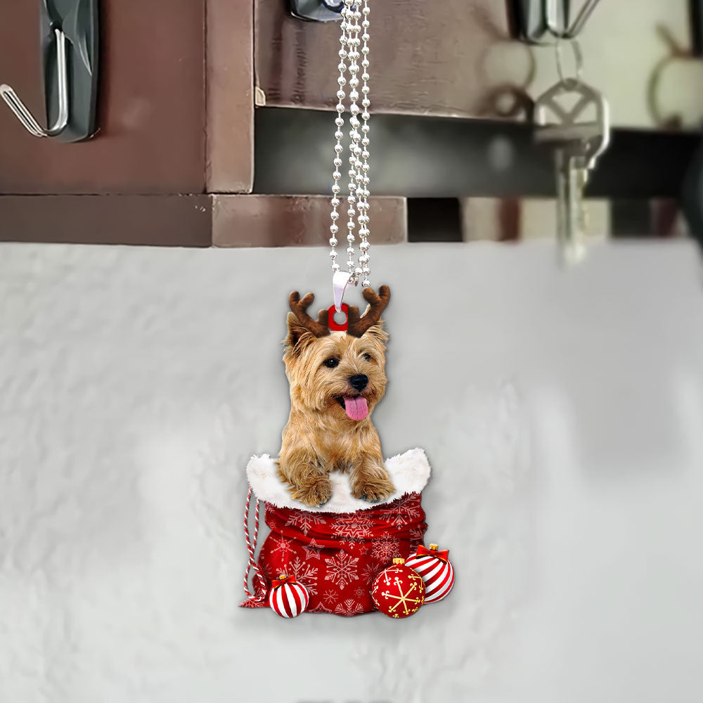 Cairn Terrier In Snow Pocket Christmas Car Hanging Ornament Lasfour Ornaments OO1205