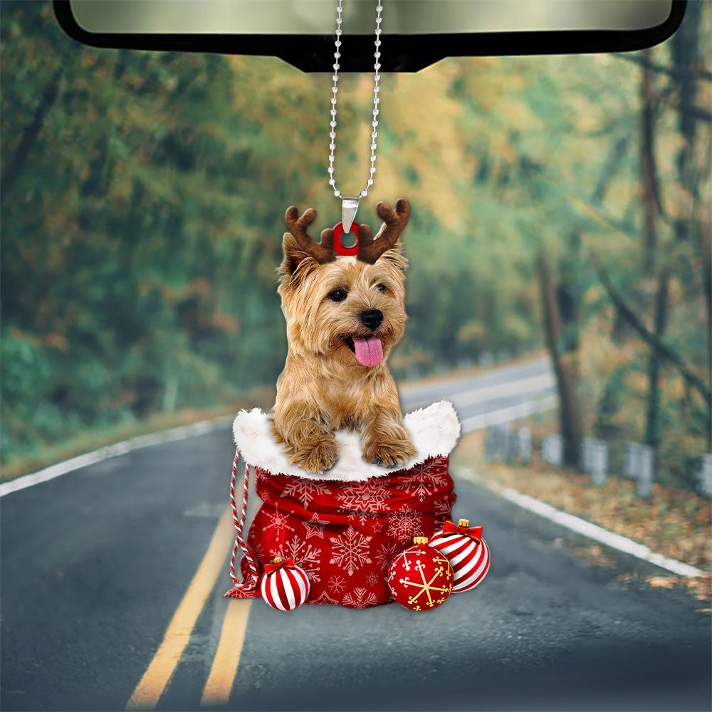 Cairn Terrier In Snow Pocket Christmas Car Hanging Ornament Lasfour Ornaments OO1205