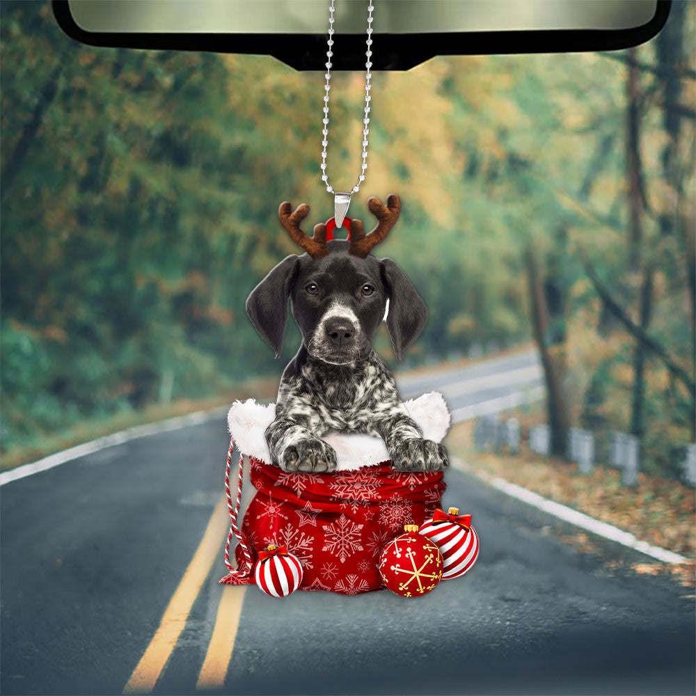 German Shorthaired Pointer In Snow Pocket Christmas Car Hanging Ornament Lasfour Ornaments OO1219