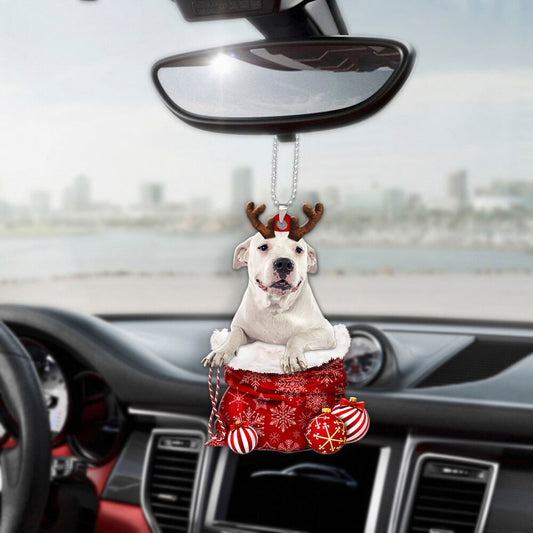 Dogo Argentino In Snow Pocket Christmas Car Hanging Ornament Lasfour Ornaments OO1216