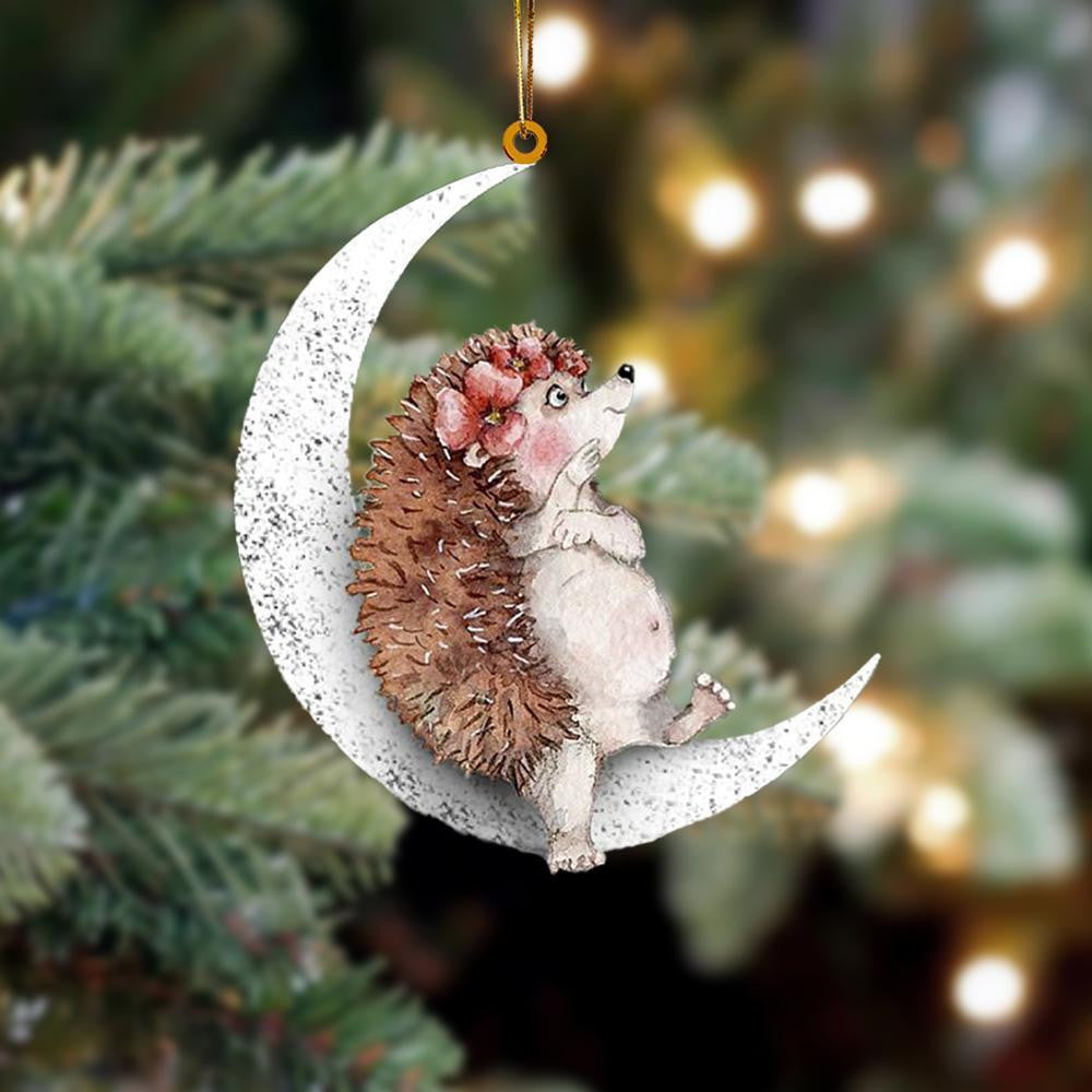 Hedgehog Sits On The Moon Flat Acrylic Hanging Ornament Animals Shaped OO2283