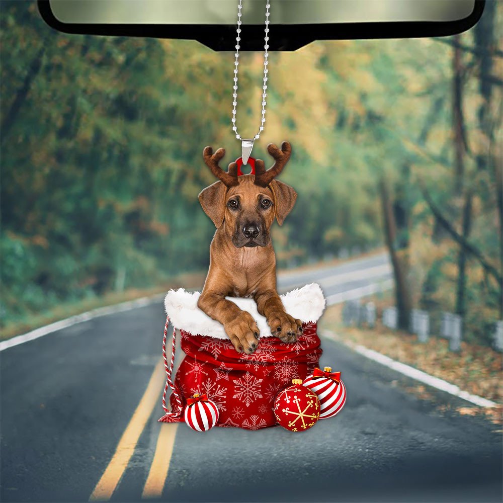 Rhodesian Ridgeback In Snow Pocket Christmas Car Hanging Ornament Lasfour Ornaments OO1244