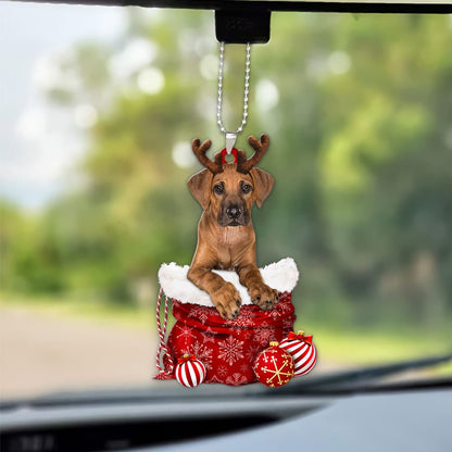 Rhodesian Ridgeback In Snow Pocket Christmas Car Hanging Ornament Lasfour Ornaments OO1244