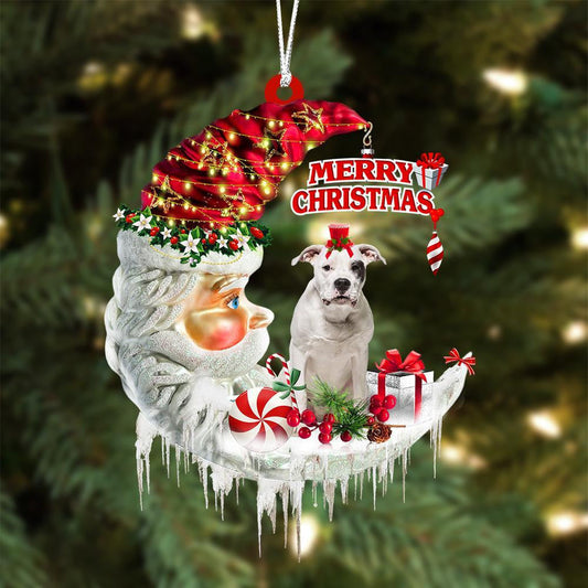 Dogo Argentino On The Moon Merry Christmas Hanging Ornament Flat Acrylic Dog Ornament OO2086