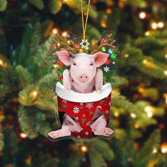 Lasfour Pig In Pocket Christmas Ornament Flat Acrylic Farmhouse Ornament OO4313