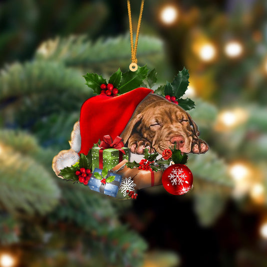 Pitbull Sleeping In Hat Christmas Ornament Two Sided SO0992