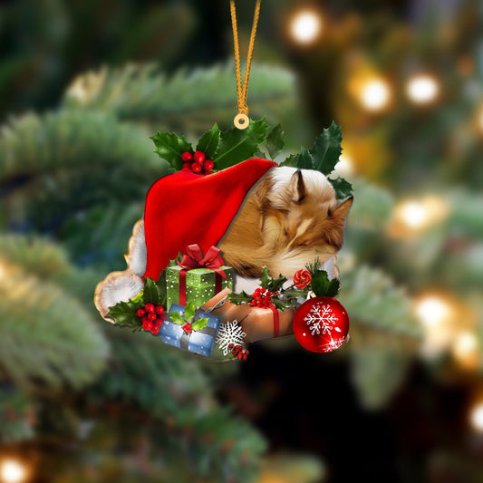 Sheltie Sleeping In Hat Christmas Ornament Two Sided OO4286