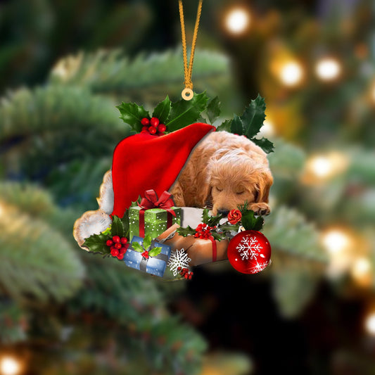 Goldendoodle Sleeping In Hat Christmas Ornament Two Sided OO4285