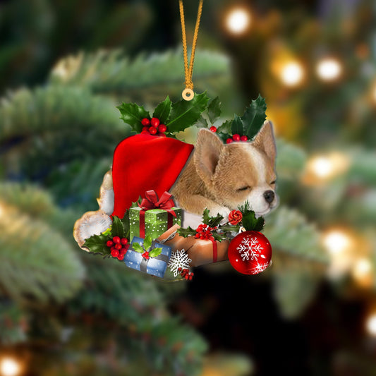 Chihuahua 2 Sleeping In Hat Christmas Ornament Two Sided OO4281