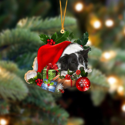 Border Collie Sleeping In Hat Christmas Ornament Two Sided SO1295