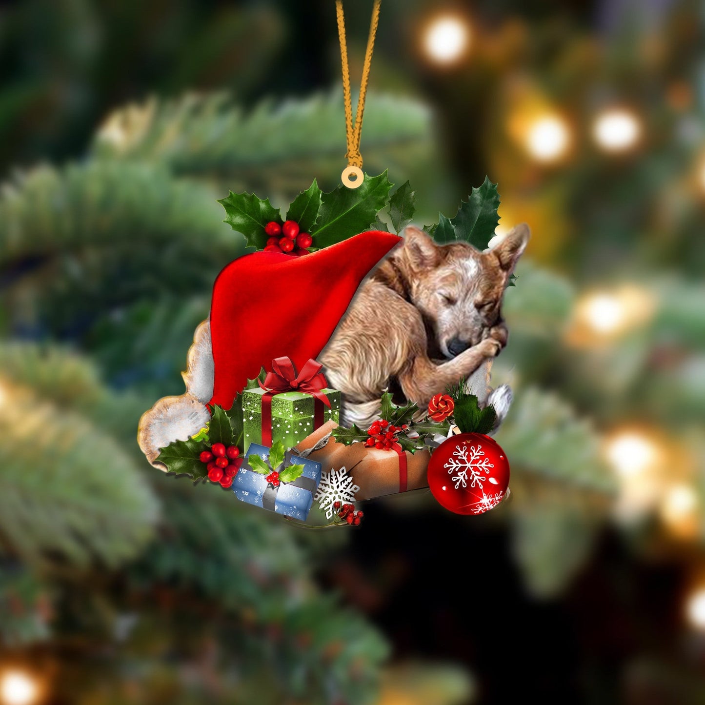 Heeler 2 Sleeping In Hat Christmas Ornament Two Sided OO4279