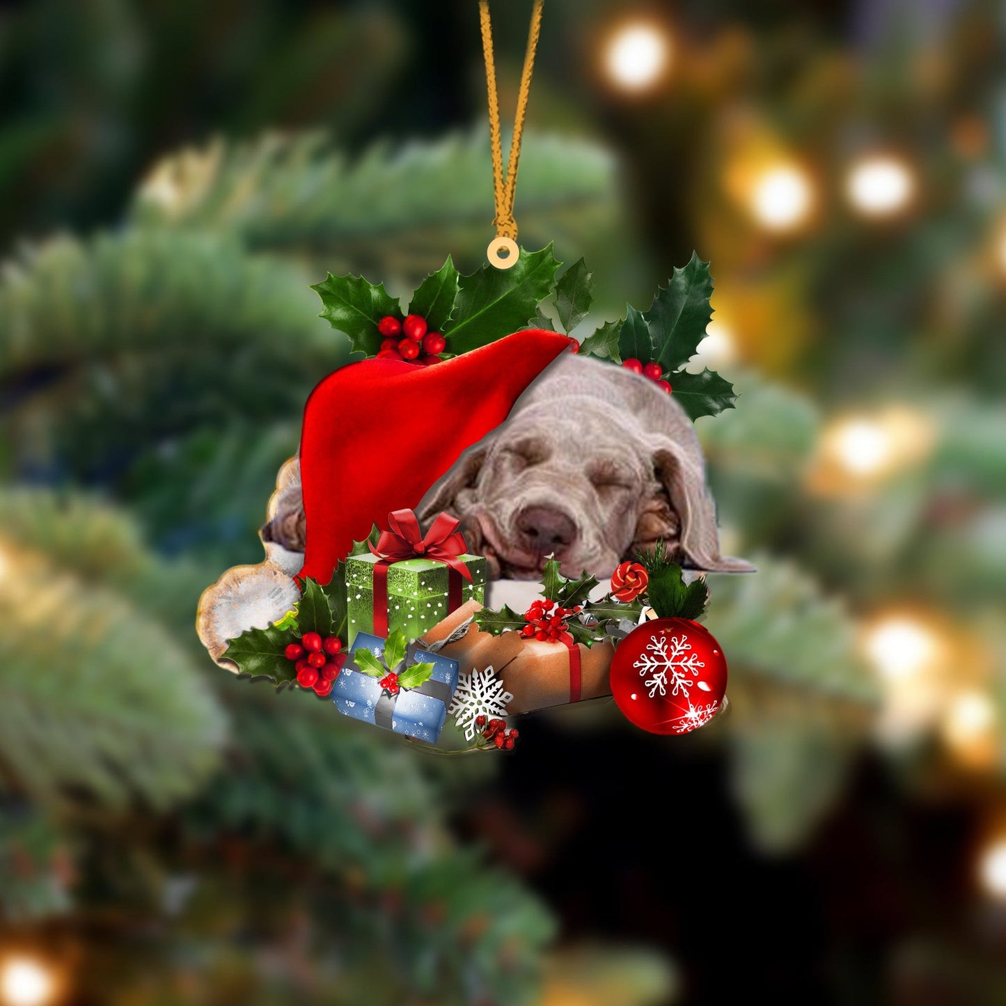 Weimaraner Sleeping In Hat Christmas Ornament Two Sided OO4259