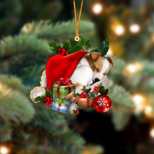 Jack Russell Terrier Sleeping In Hat Christmas Ornament Two Sided OO4254