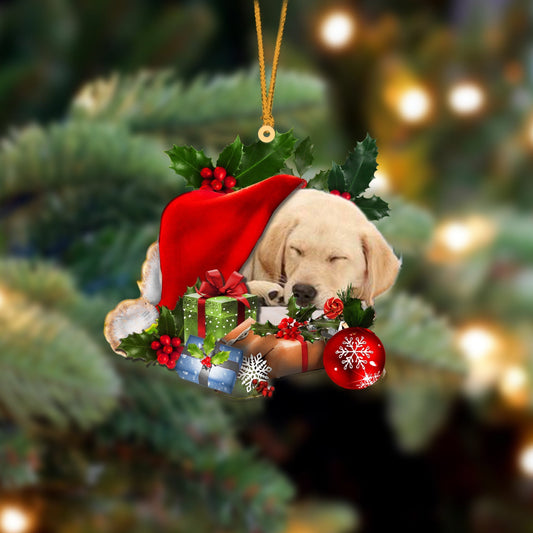 Labrador Retriever 2 Sleeping In Hat Christmas Ornament Two Sided OO4258