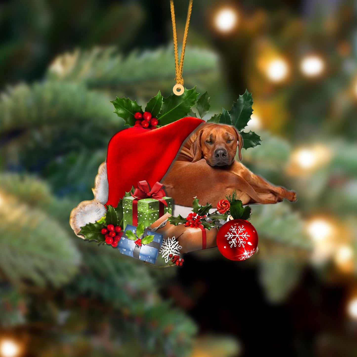 Rhodesian Ridgeback Sleeping In Hat Christmas Ornament Two Sided SO1289