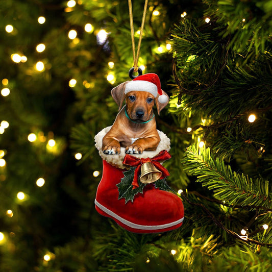 Rhodesian Ridgeback In Santa Boot Christmas Two Sided Ornament OO4158