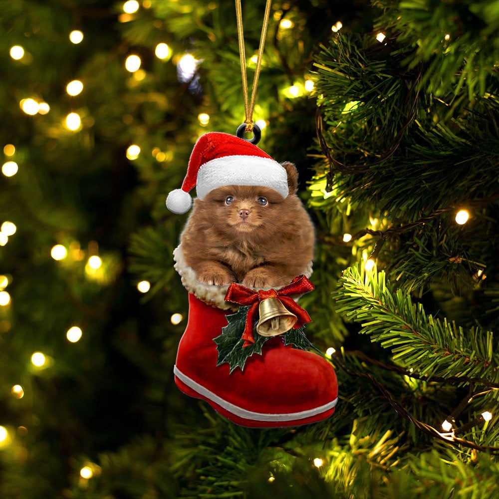 Pomeranian In Santa Boot Christmas Two Sided Ornament OO4113