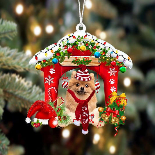 Pomeranian Christmas House Custom Shaped Two Sided Ornament OO3939