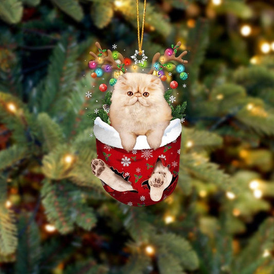 Cat Persian In Snow Pocket Christmas Ornament Flat Acrylic Cat Ornaments SO1276