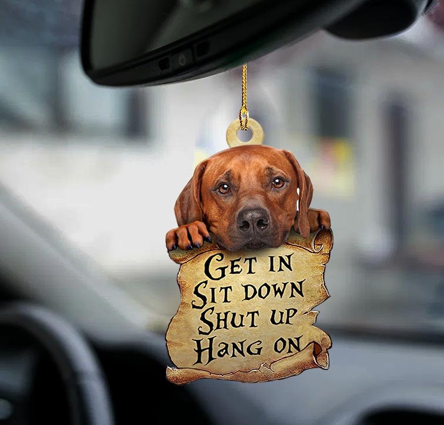 Rhodesian Ridgeback get in dog moms two sided ornament OO0201