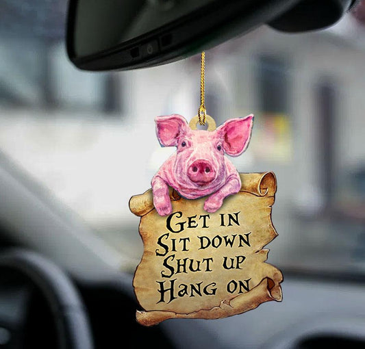 Pig get in pig lover two sided ornament, auto hanging ornaments OO0217