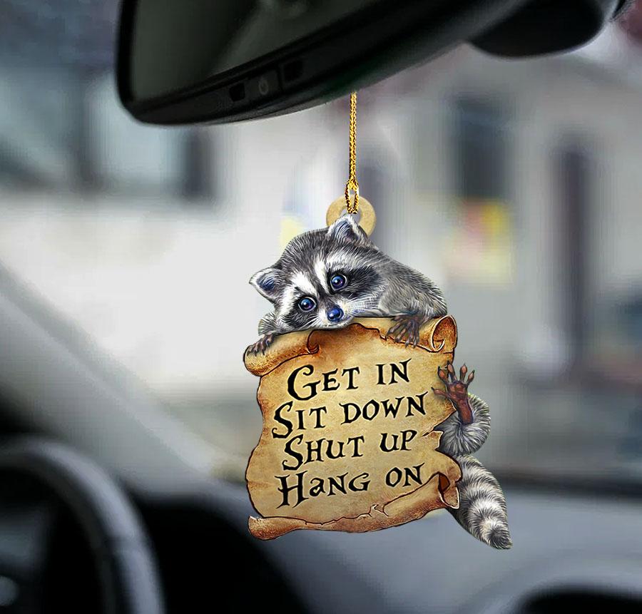 Raccoon get in raccoon lover two sided car interior ornament SO1441