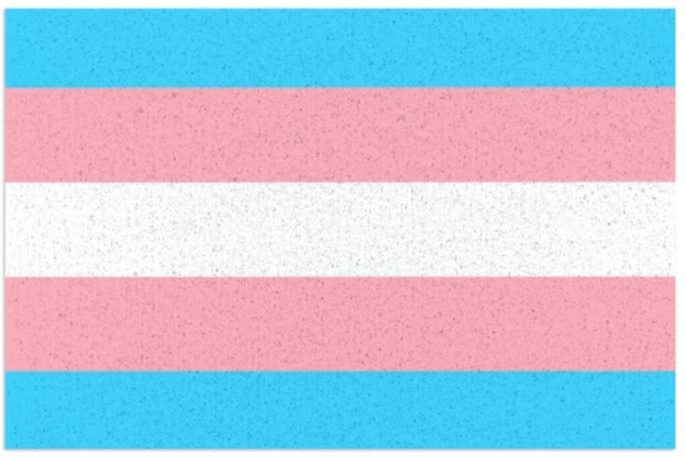 Indoor Outdoor Entrance Pride Mat, Doormat Trans Transgender Pride Door Mat Indoors 16X24 Inch LO1368