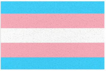 Indoor Outdoor Entrance Pride Mat, Doormat Trans Transgender Pride Door Mat Indoors 16X24 Inch LO1368