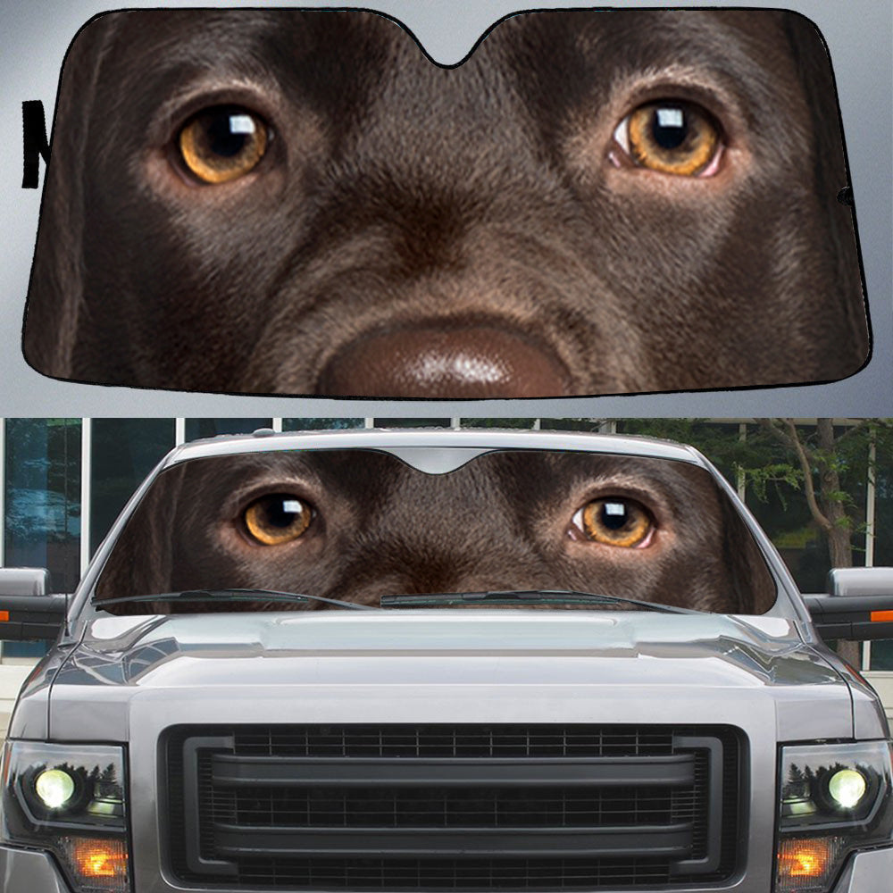 Cho Labrador Retriever's Eyes Beautiful Dog Eyes Car Sun Shade Cover Auto Windshield SO0159