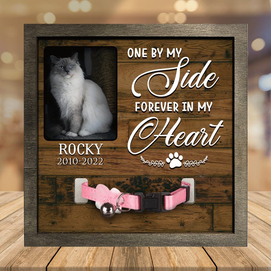 Customized A Ragdoll Cat Picture Frames Memorial Pet you were my favorite Hello, Pet Lover Gifts SO0351