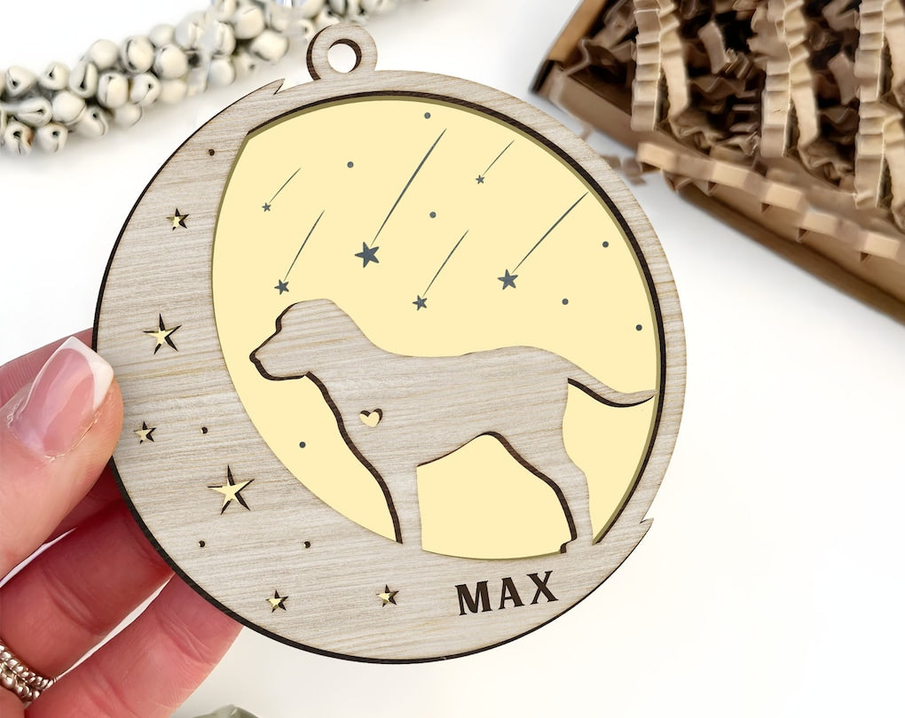 Custom Dog Cat Pet Memorial Suncatcher, Pet Memorial Gift, Loss of Pet Sympathy Gift, Gift for Mothers, Dog Memorial Gift l In Loving Memory OA0226