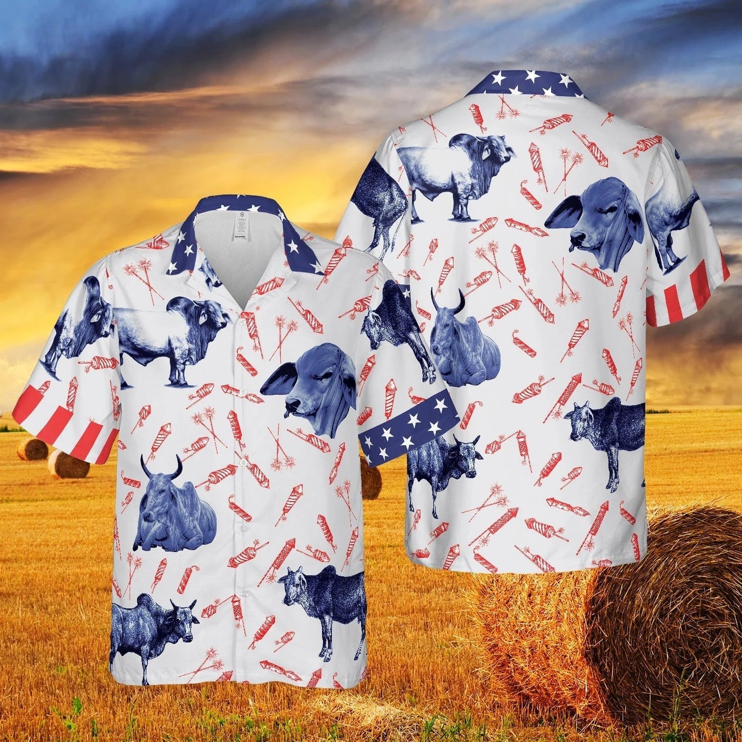 Independence Day Fire Cracker Brahman Pattern All Printed 3D Hawaiian Shirt HO0317