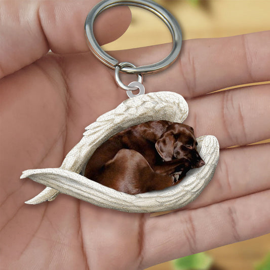 Chocolate Labrador Sleeping Angel Acrylic Keychain Dog Sleeping keychain KO0173